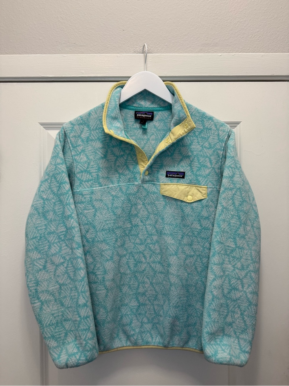 Patagonia Worn Wear Lightweight Synchilla Snap-T Pullover